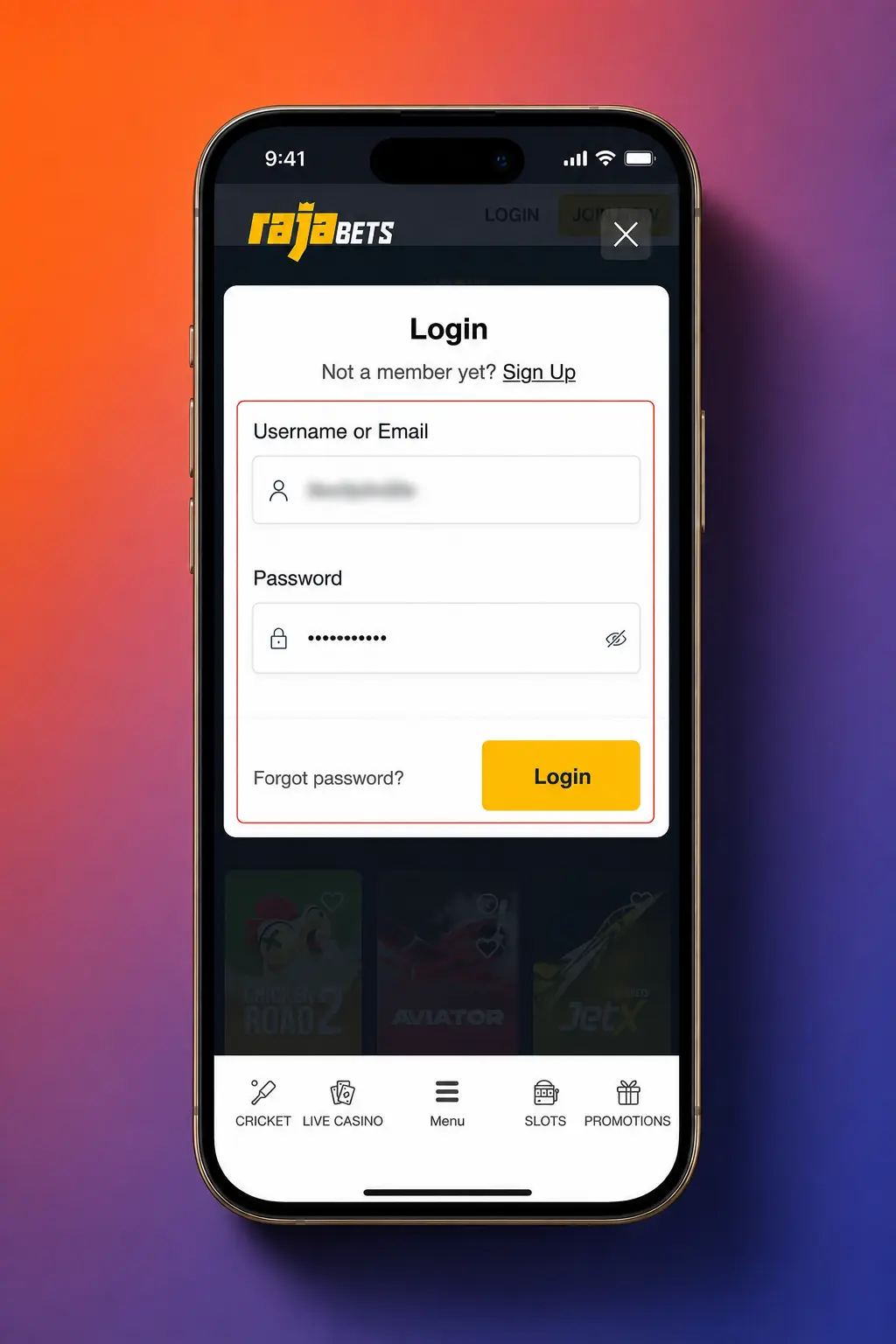 Player completing identity verification for Crazy Balls account